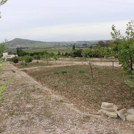 Country house Delle Palme Delfina *