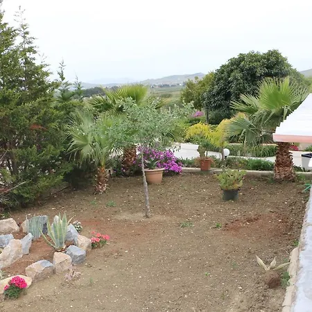 Delle Palme Delfina Трапани