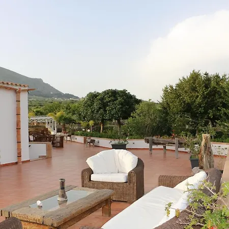 Country house Delle Palme Delfina