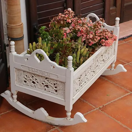 Country house Delle Palme Delfina *