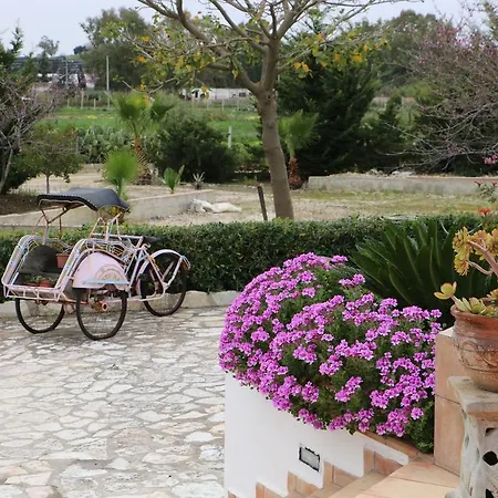 Country house Delle Palme Delfina