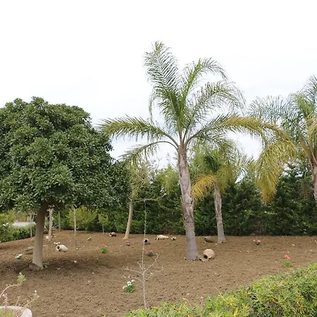 Country house Delle Palme Delfina