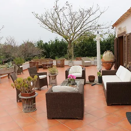 Country house Delle Palme Delfina *
