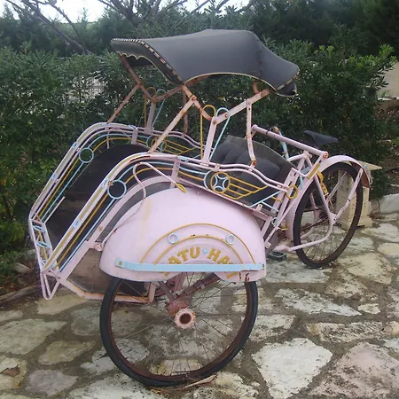 Country house Delle Palme Delfina
