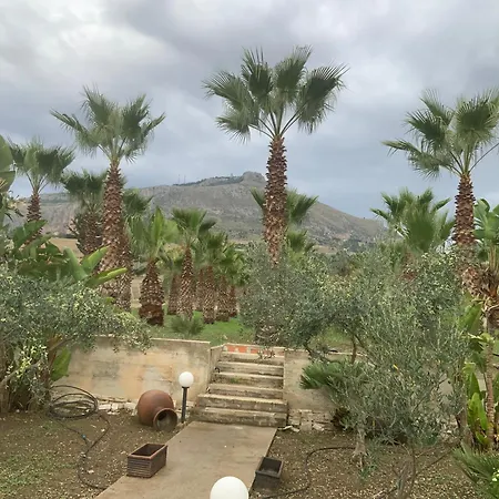 Palm Park Trapani- Parking Piscina A 10 Minuti Dal Centro E Dal Mare בית כפרי טראפאני