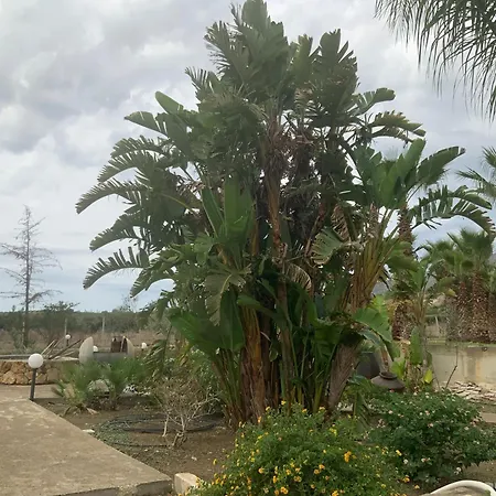 בית כפרי Palm Park Trapani- Parking Piscina A 10 Minuti Dal Centro E Dal Mare *