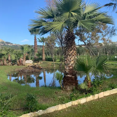 Palm Park Trapani- Parking Piscina A 10 Minuti Dal Centro E Dal Mare *