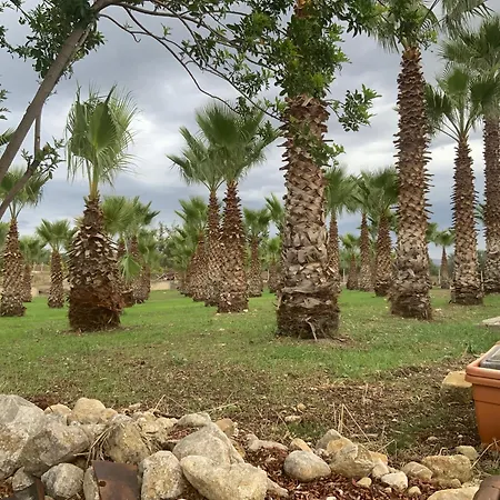 Palm Park Trapani- Parking Piscina A 10 Minuti Dal Centro E Dal Mare * טראפאני