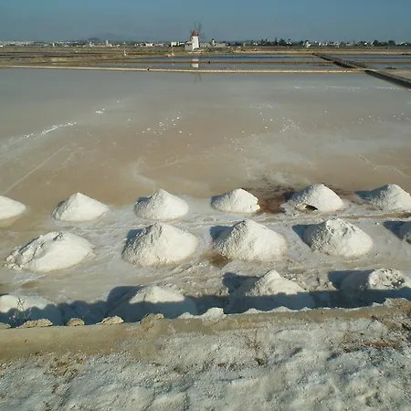 Delle Palme Delfina Trapani