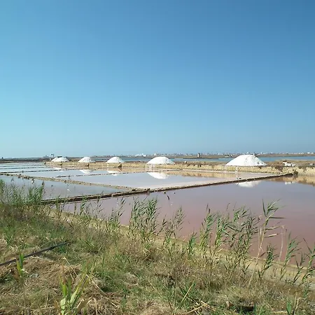 Delle Palme Delfina Trapani