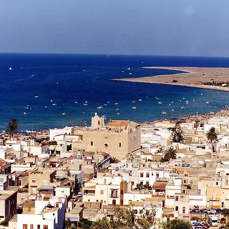 Lantställe Delle Palme Delfina *