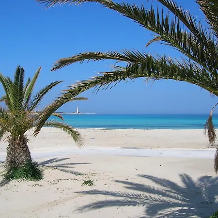 Delle Palme Delfina