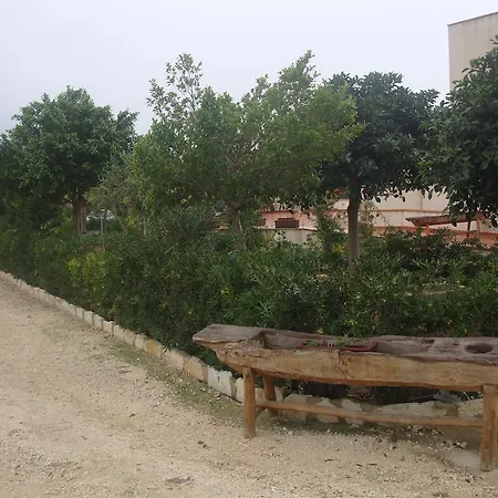 Delle Palme Delfina