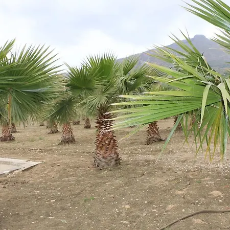 Εξοχικό σπίτι Delle Palme Delfina *