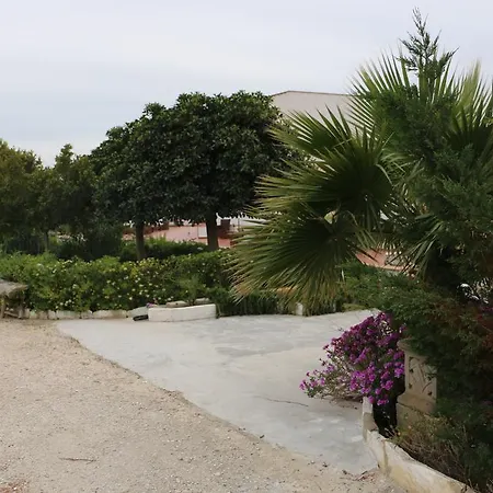 Delle Palme Delfina