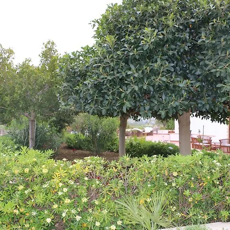 Delle Palme Delfina