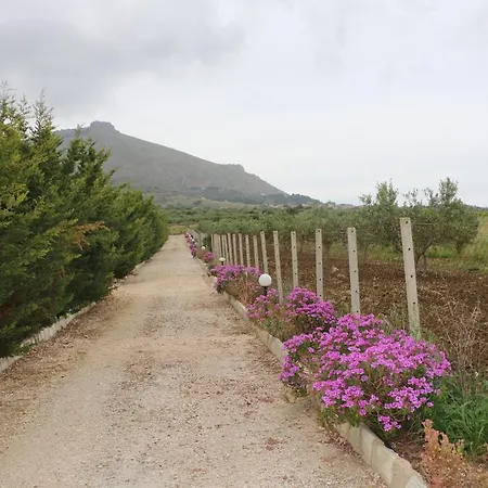 Lantställe Delle Palme Delfina