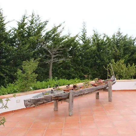 Delle Palme Delfina