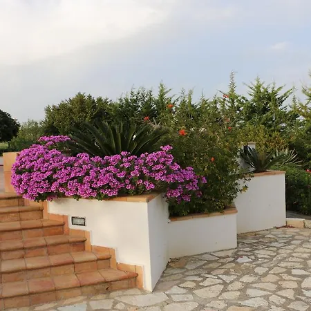 Delle Palme Delfina