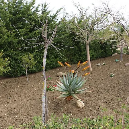 Venkovský dům Delle Palme Delfina