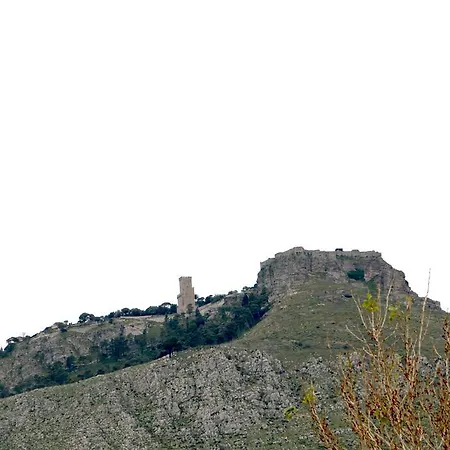 Delle Palme Delfina