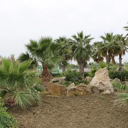 Delle Palme Delfina