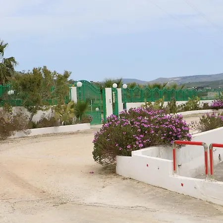 Delle Palme Delfina Trapani