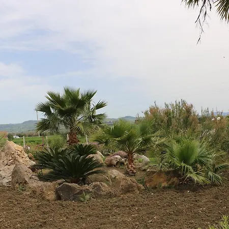 Palm Park Trapani- Parking Piscina A 10 Minuti Dal Centro E Dal Mare