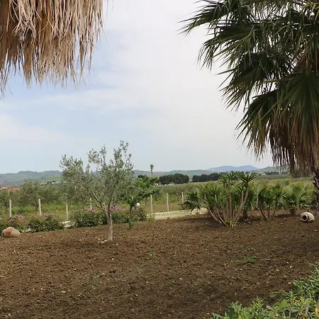 Palm Park Trapani- Parking Piscina A 10 Minuti Dal Centro E Dal Mare טראפאני