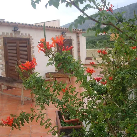 Delle Palme Delfina